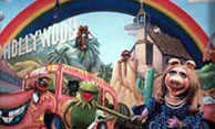 We am is are and be they whom as are known as 
the Electric Mayhem!
